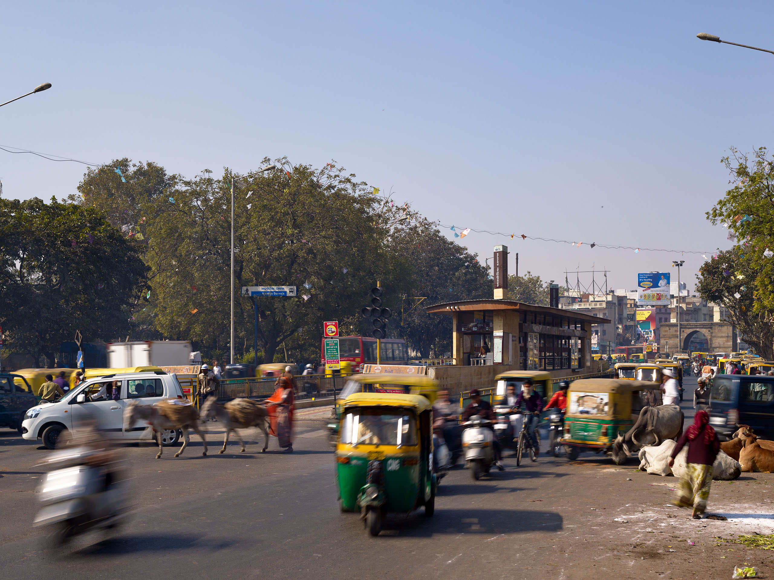 E14492 Alpa 042629 j2560